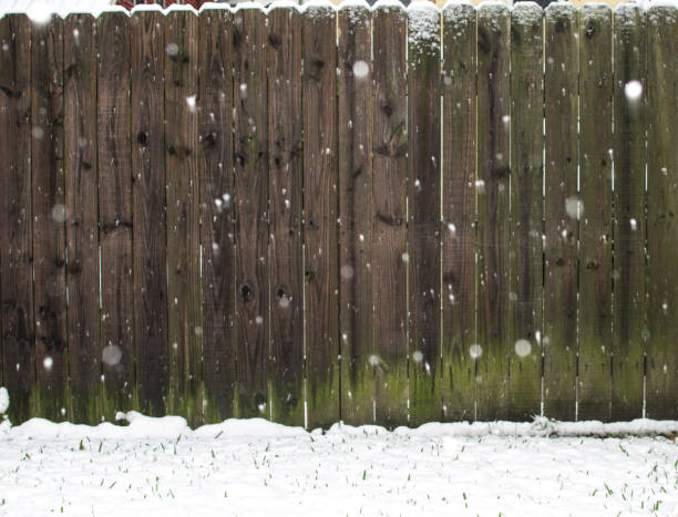 istock Snow on the fence 891605098