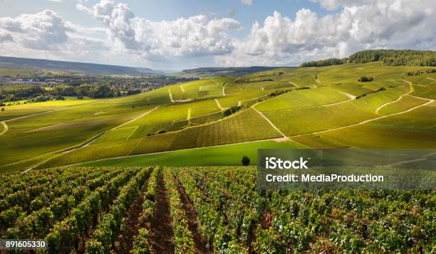 Vigneti Francesi Con Illuminazione Epic - Fotografie stock e altre immagini di Borgogna - Francia - Borgogna - Francia, Francia, Azienda vinicola