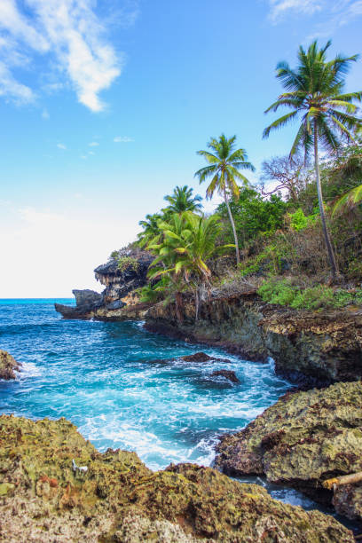 istock Wild tropical rocky shore, bay, lagoon. 891614136