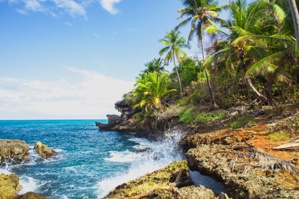 istock Wild tropical rocky shore, bay, lagoon. 891618968