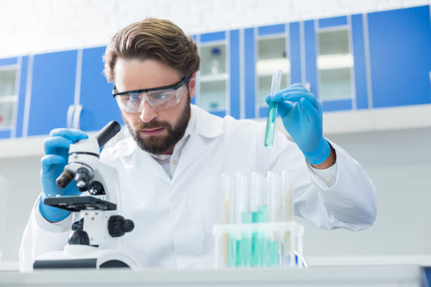 istock Serious pleasant man scientist working in the lab 891619424