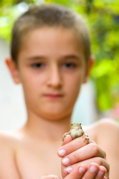 istock Young boy holding a tiny green frog in his hands 891619688