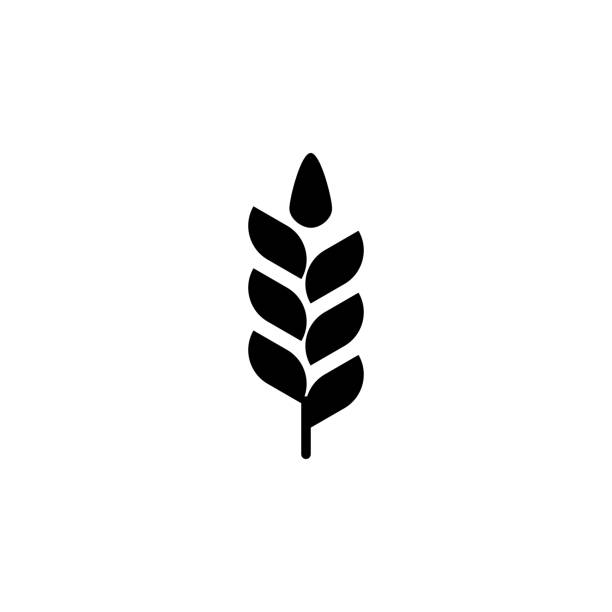 小麦。スパイク。スピカのアイコン - whole wheat点のイラスト素材／クリップアート素材／マンガ素材／アイコン素材