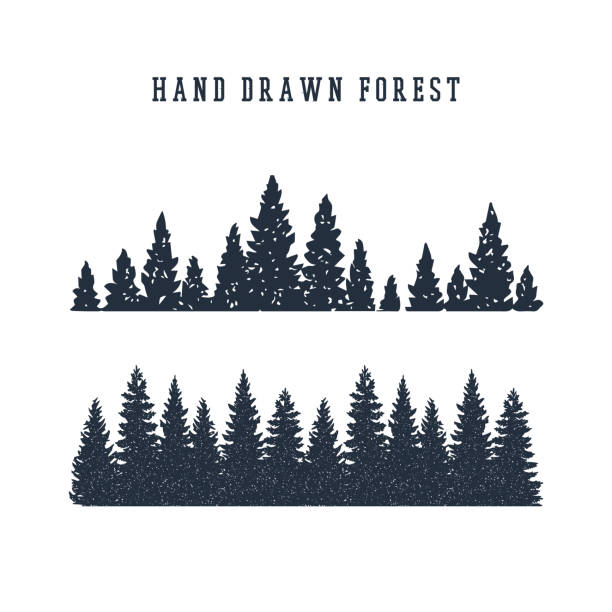 Hand drawn pine forest vector illustration. Hand drawn pine forest textured vector illustration. wildlife trade stock illustrations