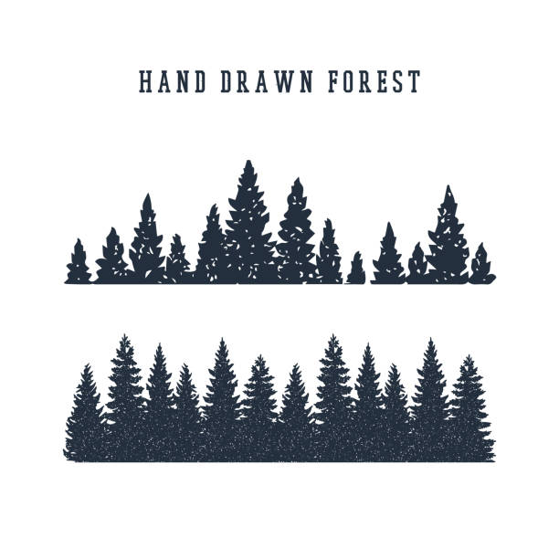 Hand drawn pine forest vector illustration. Hand drawn pine forest textured vector illustration. background of a camping stock illustrations