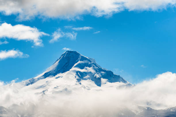 istock Mt. Hood National Forest Landscapes 891634716