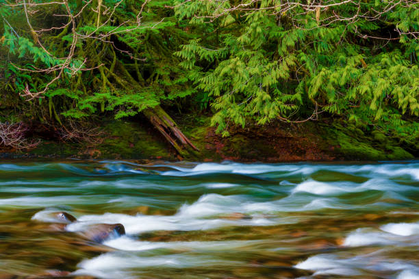 istock Mt. Hood National Forest Landscapes 891635414