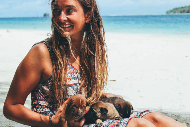 istock Holding little puppies on the sandy beach 891645654