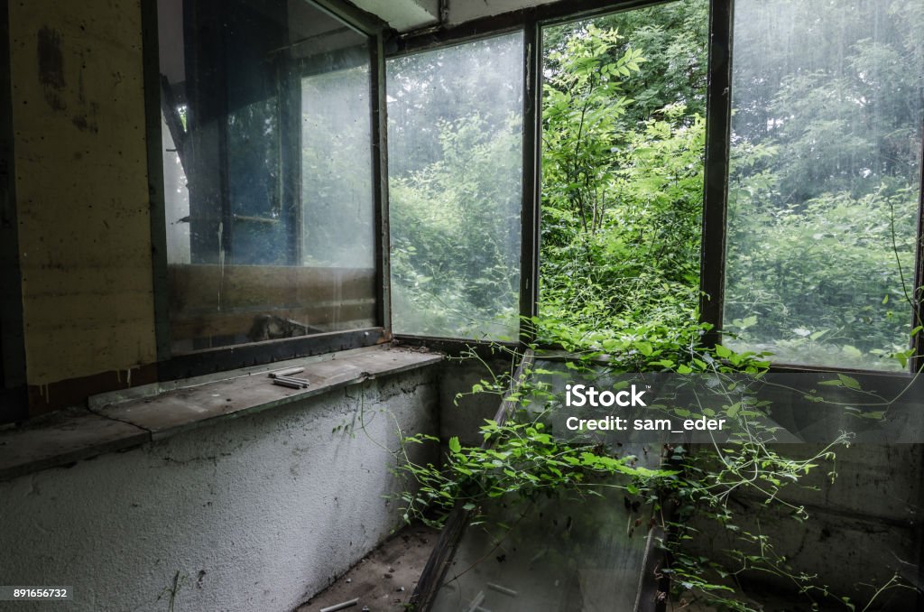 overgrown room in a factory overgrown room with window in a factory Monument to the Murdered Jews of Europe Stock Photo