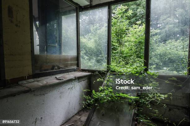 Overgrown Room In A Factory Stock Photo - Download Image Now - Monument to the Murdered Jews of Europe, Austria, Awe