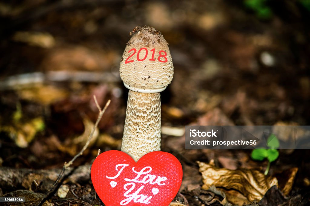 Happy New Year 2018 image. 2018 is growing up and bringing love. Abstract creative photography This baby forest mushrrom is growing up fast from the ground with the written 2018 term on its cap. This conceptual photo represents the countdown progress of the coming New Year 2018. The picture also conveys the concepts of love, changes in the nature, and healthy organice food eating for the human beings in the New Year. Autumn Stock Photo