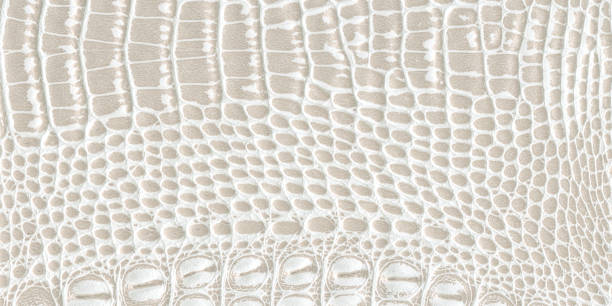 istock texture of skin 891658164
