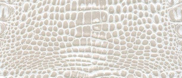 texture of skin