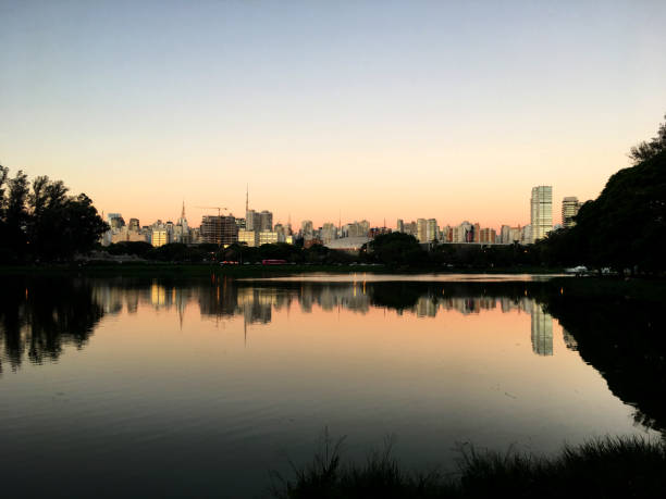 istock Skyline of Sao Paulo. Ibirapuera Park. 891663142