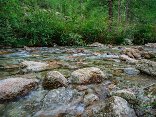 istock Troncone Stream in Natural Park of Alta Valle Antrona 891668950