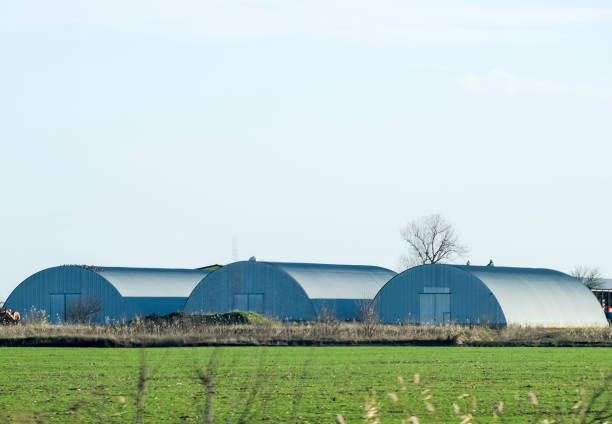 istock Three hangars in the field. Hangars from galvanized iron. 891691220