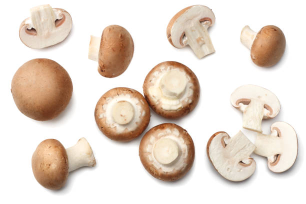 istock Fresh champignon mushrooms isolated on white background. top view 891699098