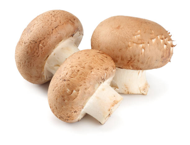 istock Fresh champignon mushrooms isolated on white background. 891699138