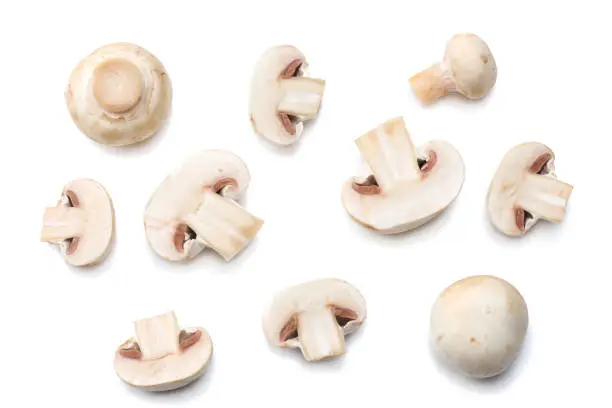 mushrooms isolated on white background. top view