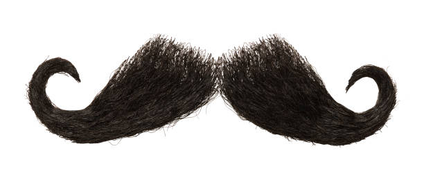 Mustache Dark Mens Mustache Isolated on White Background. animal whisker photos stock pictures, royalty-free photos & images