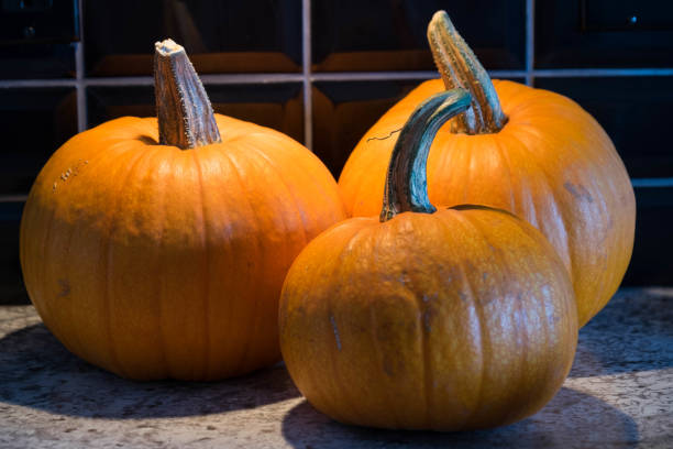 Three small pumpkins against a black tiled background stock photo