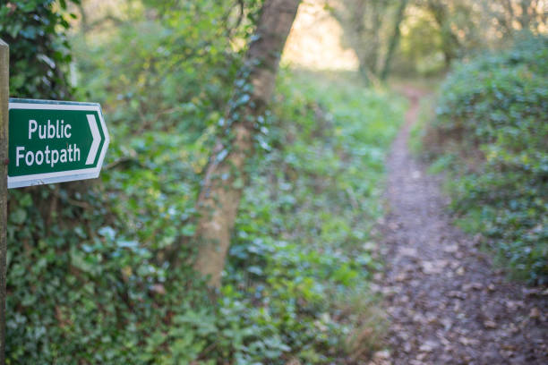 istock Sign to the woodland 891713596