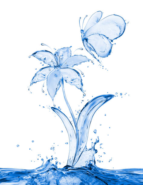 istock Butterfly and flower made of water splashes 891729822