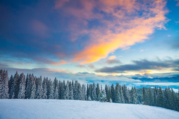 istock Winter snow landscape in the Carpathians mountains. Ukraine 891732242