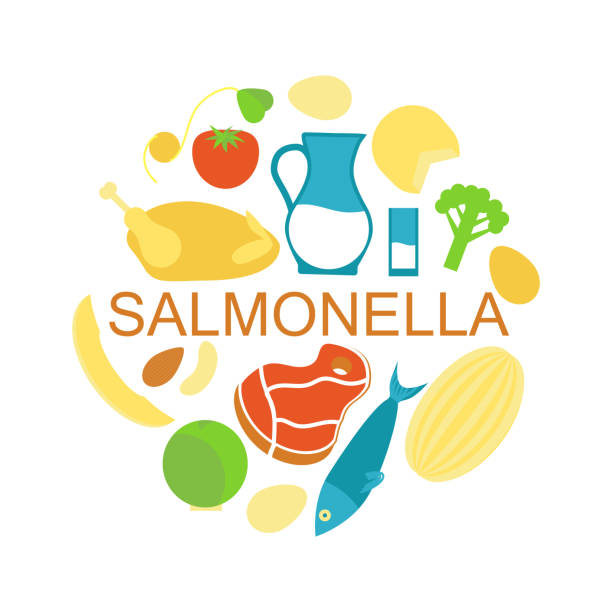 illustrazioni stock, clip art, cartoni animati e icone di tendenza di salmonella cibo contaminato - listeria
