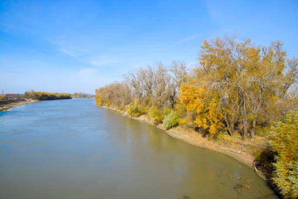 istock Autumn landscape. the river and the bridge type. Trees with yell 891738204