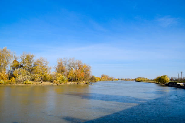 istock Autumn landscape. River bank with autumn trees. Poplars on the b 891738208