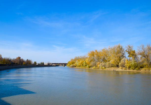 istock Autumn landscape. River bank with autumn trees. Poplars on the b 891738882
