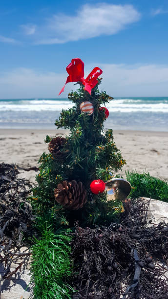 istock Christmas Ornaments and decorations at the beach 891741104