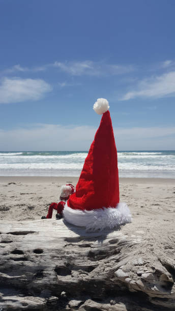 istock Christmas Ornaments and decorations at the beach 891741120