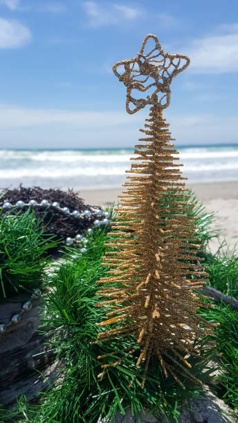 istock Christmas Ornaments and decorations at the beach 891746954