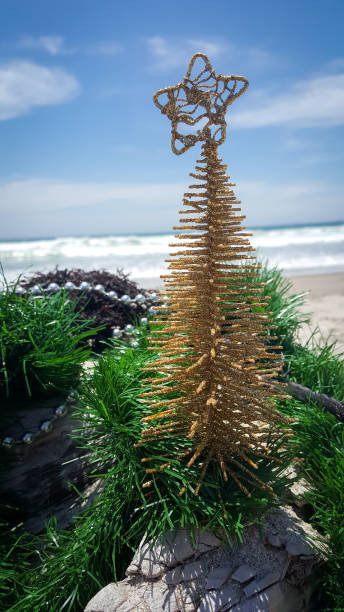 istock Christmas Ornaments and decorations at the beach 891753172