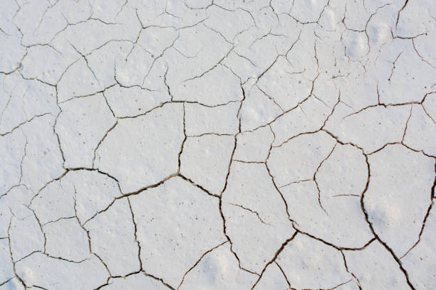 istock Brown color dry cracked muddy earth 891753510