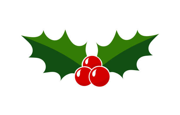 Holly berries icon Holly berries icon. Christmas leaf symbol illustration holly clipart stock illustrations