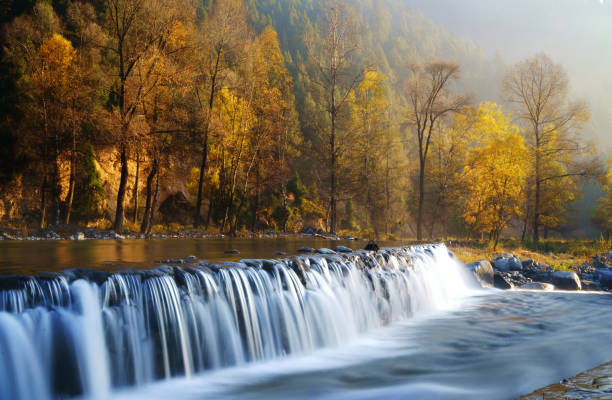 Waterfall at mountain river in autumn forest at sunset