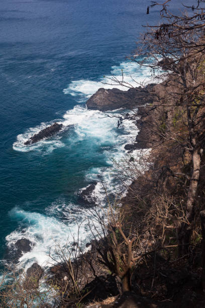 istock Dolphins Bay Fernando de Noronha Brazil 891771684