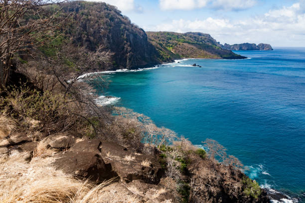 istock Dolphins Bay Fernando de Noronha Brazil 891772570