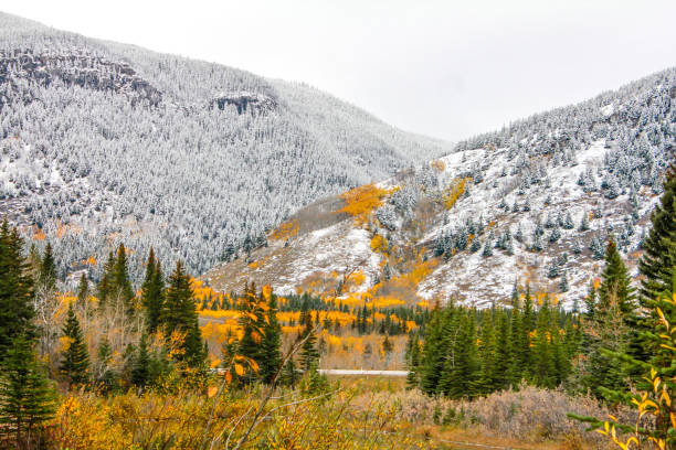 istock First snow, Kananaskis, Country, Alberta, Canada 891802362