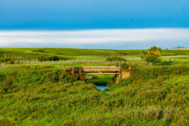istock Small bridge in field, Rockyford County, Alberta, Canada 891803274