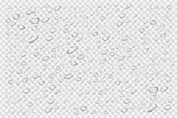 ilustraciones, imágenes clip art, dibujos animados e iconos de stock de conjunto de vectores realistas aisladas de gotitas de agua sobre el fondo transparente. - drop set water vector