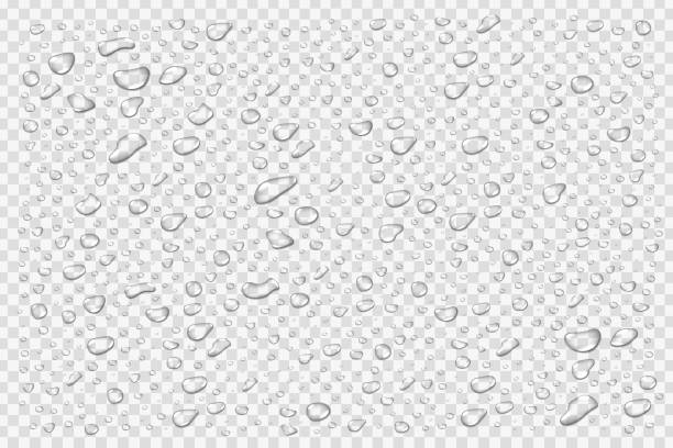 투명 한 배경에 현실적인 격리 된 물방울의 벡터 집합입니다. - condensation steam window glass stock illustrations