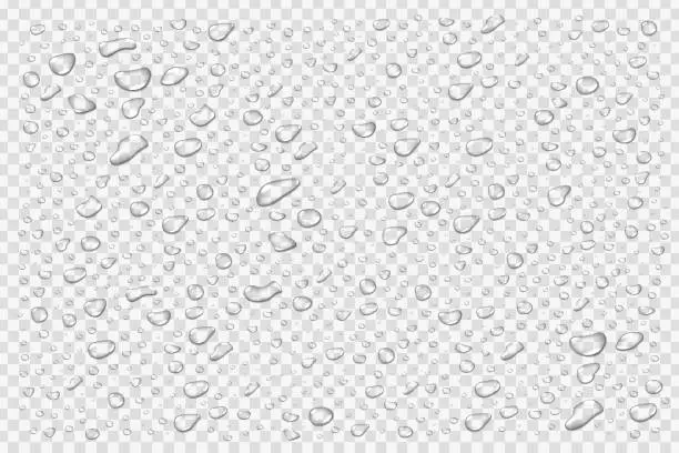 Vector illustration of Vector set of realistic isolated water droplets on the transparent background.