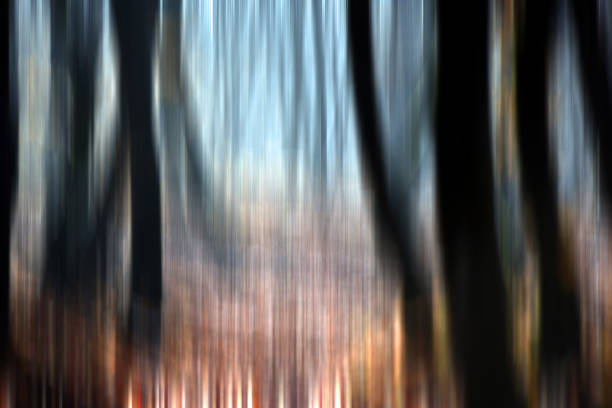 istock Abstract motion blur of trees in a forest 891807414