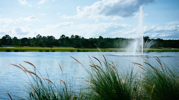 istock Lake with Fountain 891823196