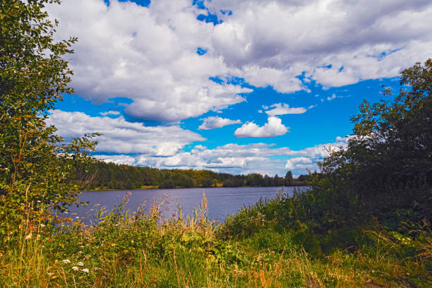 istock Summer landscape on the lake shore 891833066