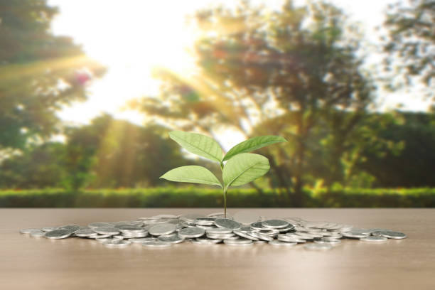 istock graph coins stock finance and business 891833096
